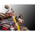 DBK Special Parts (Ducabike) Sport Windscreen for Triumph Speed Triple 1200 RR /RS DBK Special Parts (Ducabike) Sport Windscreen for Triumph Speed Triple 1200 RR /RS